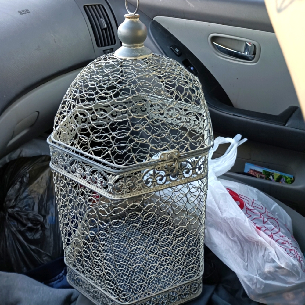 Home decor bird cage